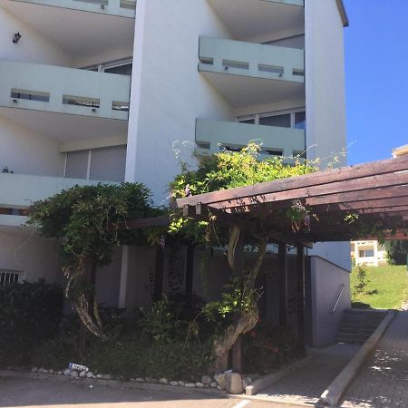Top ausgestattete 1 Zi-Whg für Urlaub u Dienstreisen Immenstaad am Bodensee Exterior foto